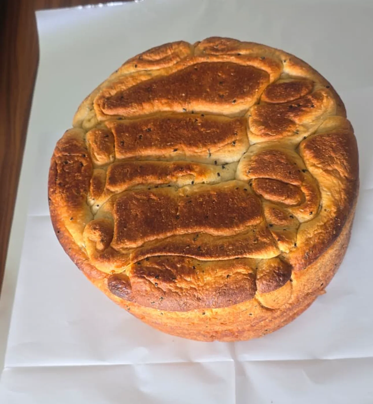 קובנה של שאגיס